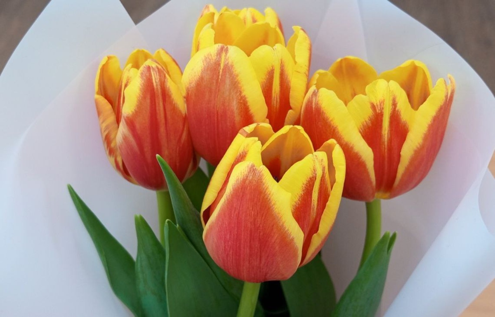 Евгении Сюткиной. «Общественная электронная газета».