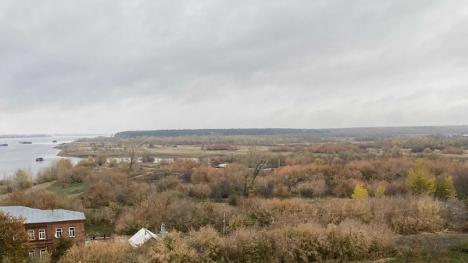 Елены Колоколовой.