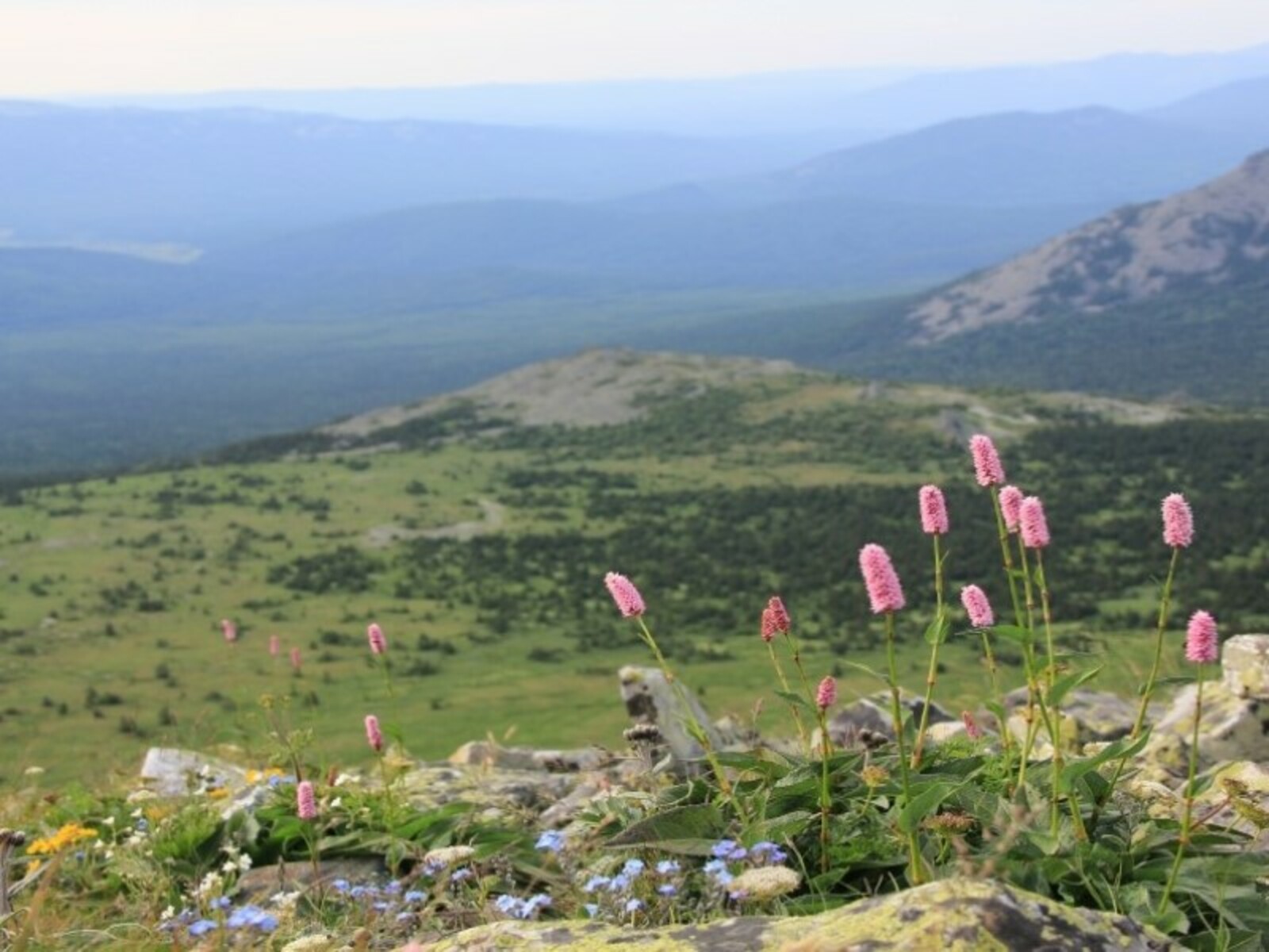 Фото предоставлено Николаем Кочневым.