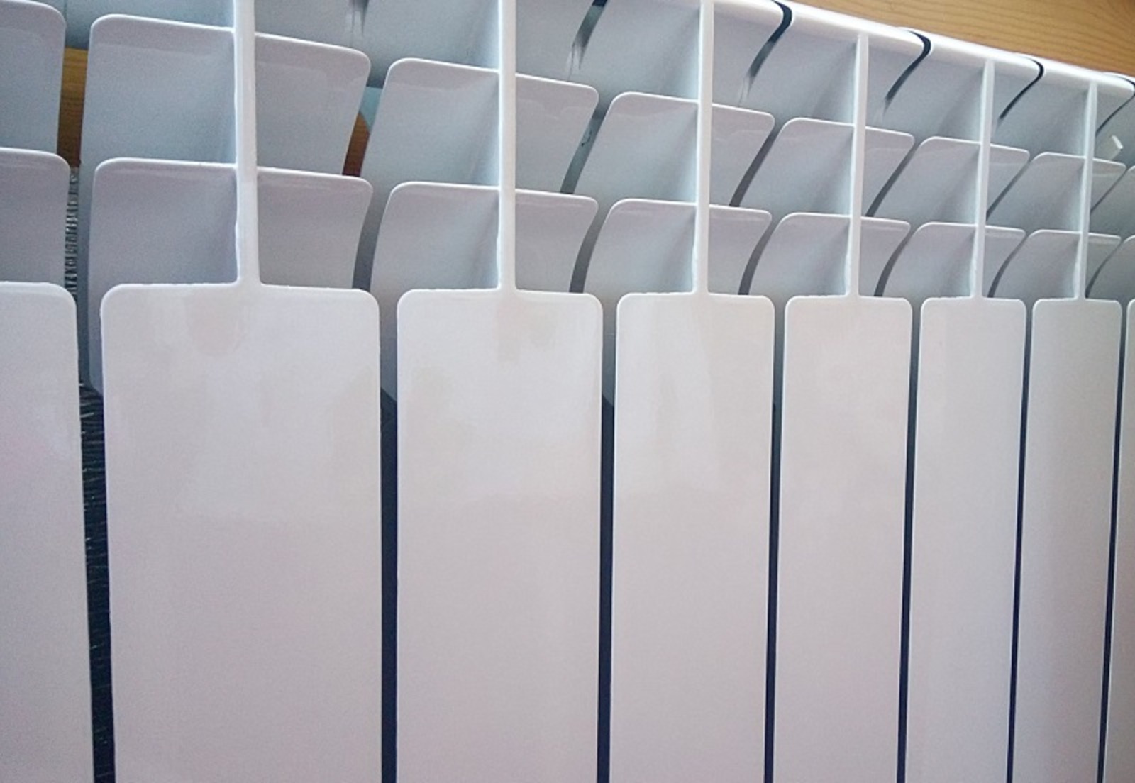 Фото Васили Саитовой.