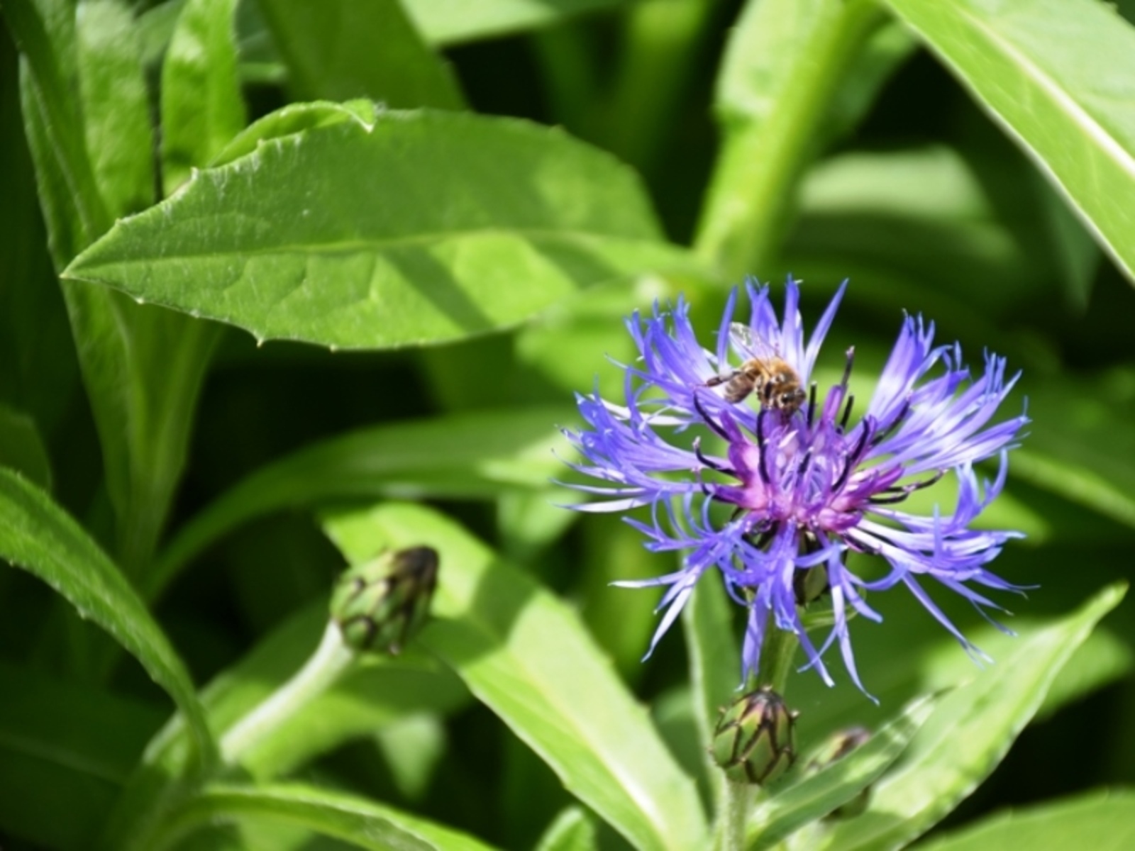 Фото Елены Колоколовой.