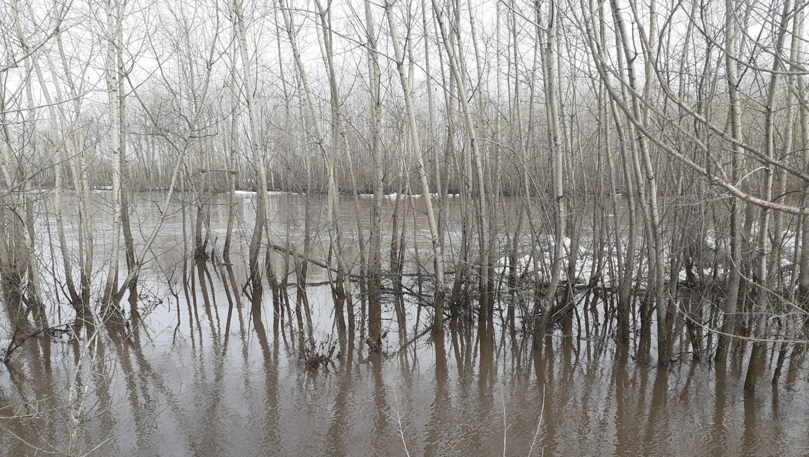 Владимира Шакиева. «Общественная электронная газета».