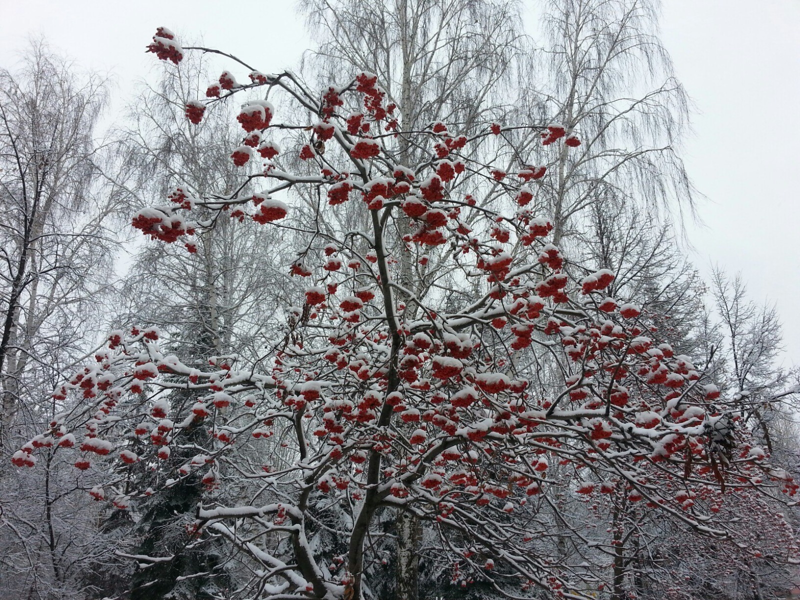 Дарьи Святохиной.