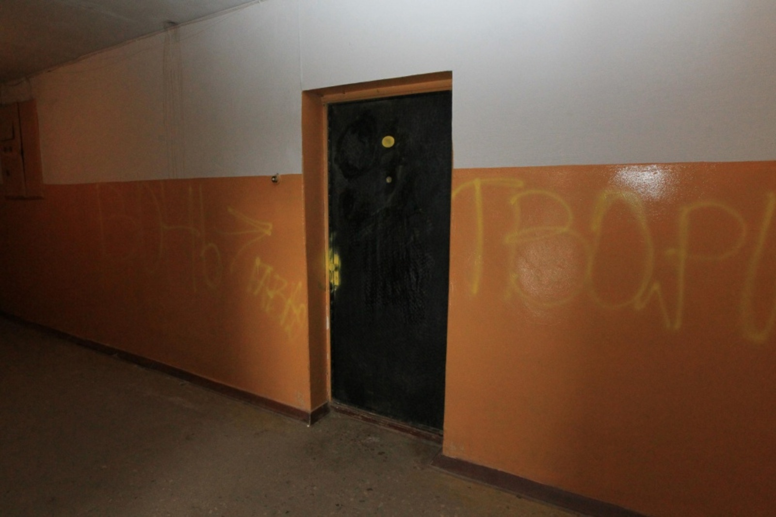 Фото Андрея Старостина.