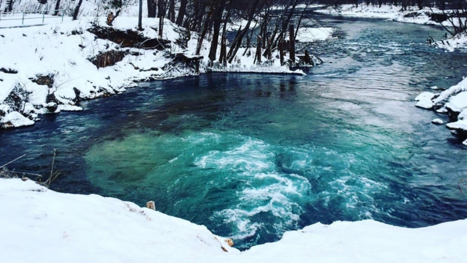 Елены Колоколовой.
