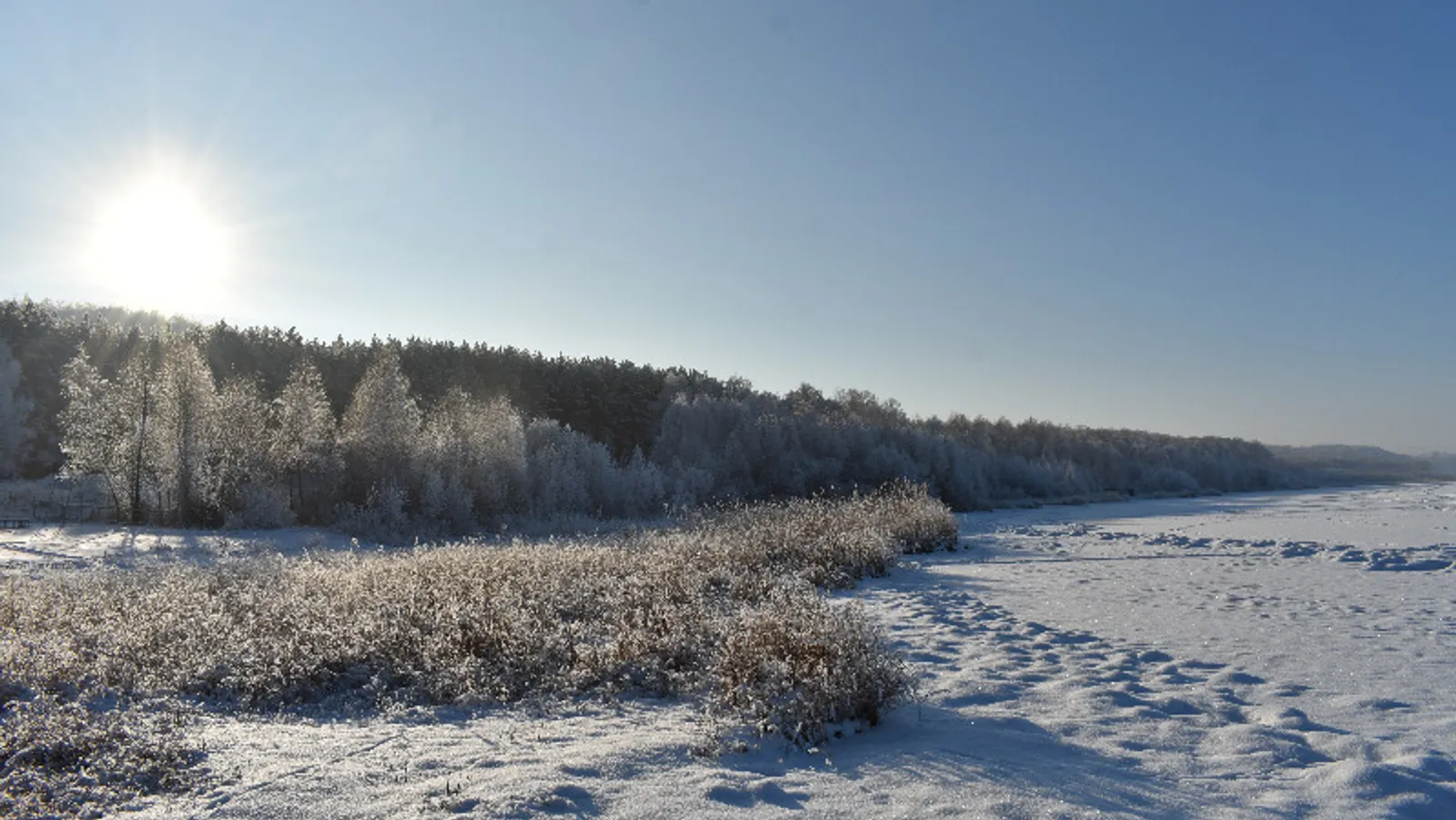 Елены Колоколовой.