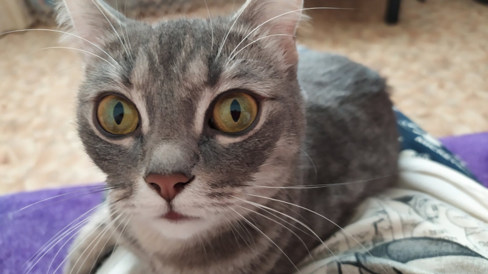 Фото Васили Саитовой.