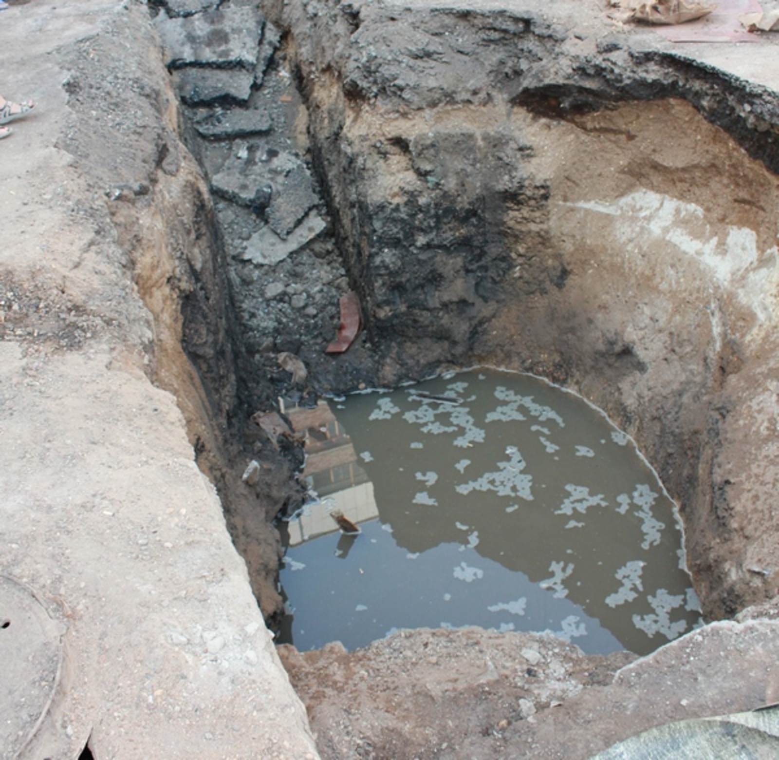 Фото автора.