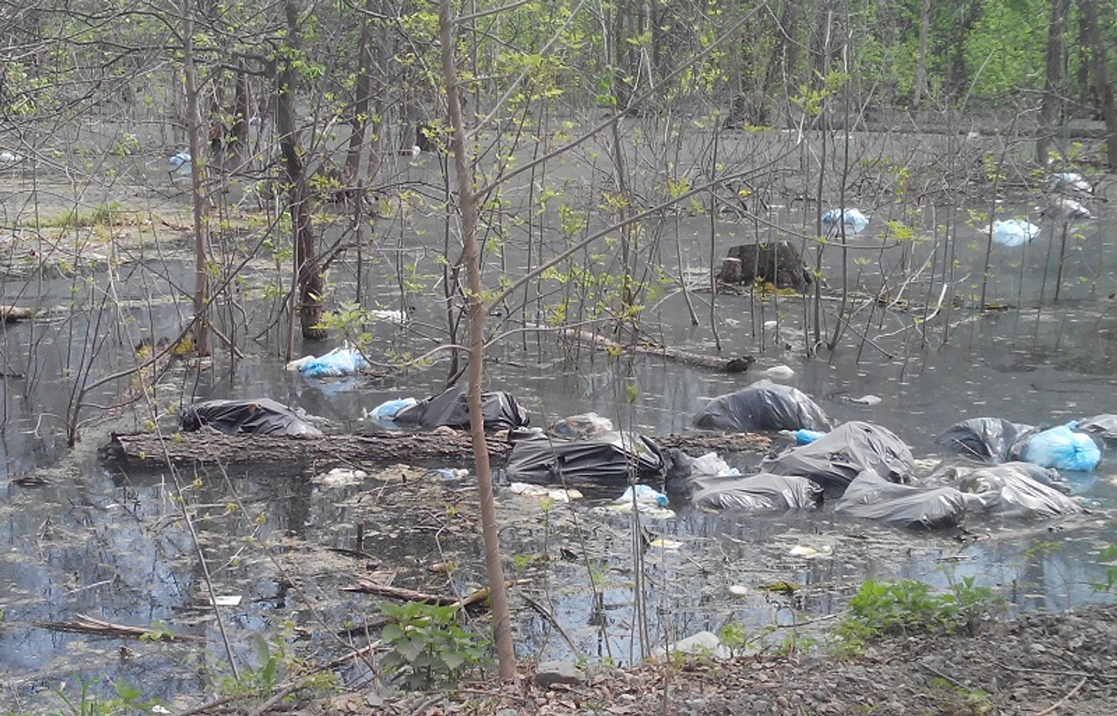 Фото предоставлено Анастасией Орловой.