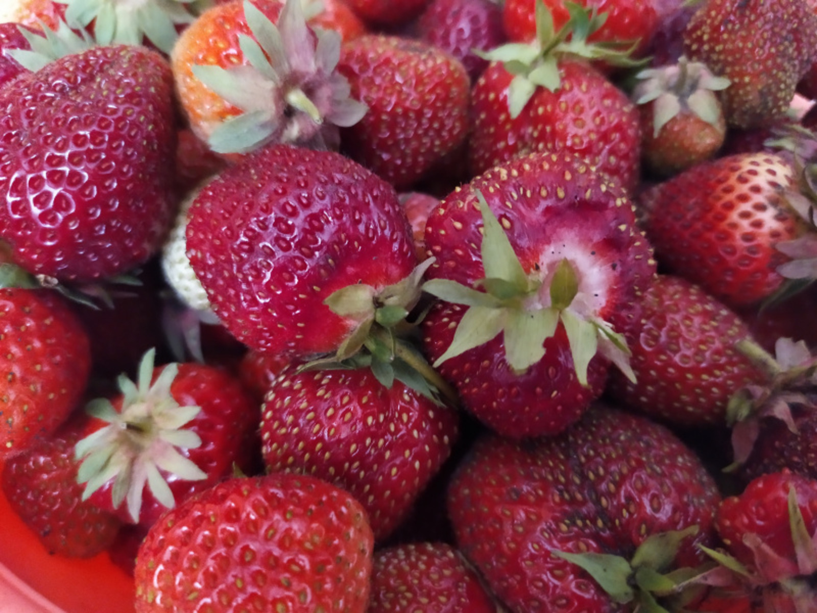 Фото Васили Саитовой.