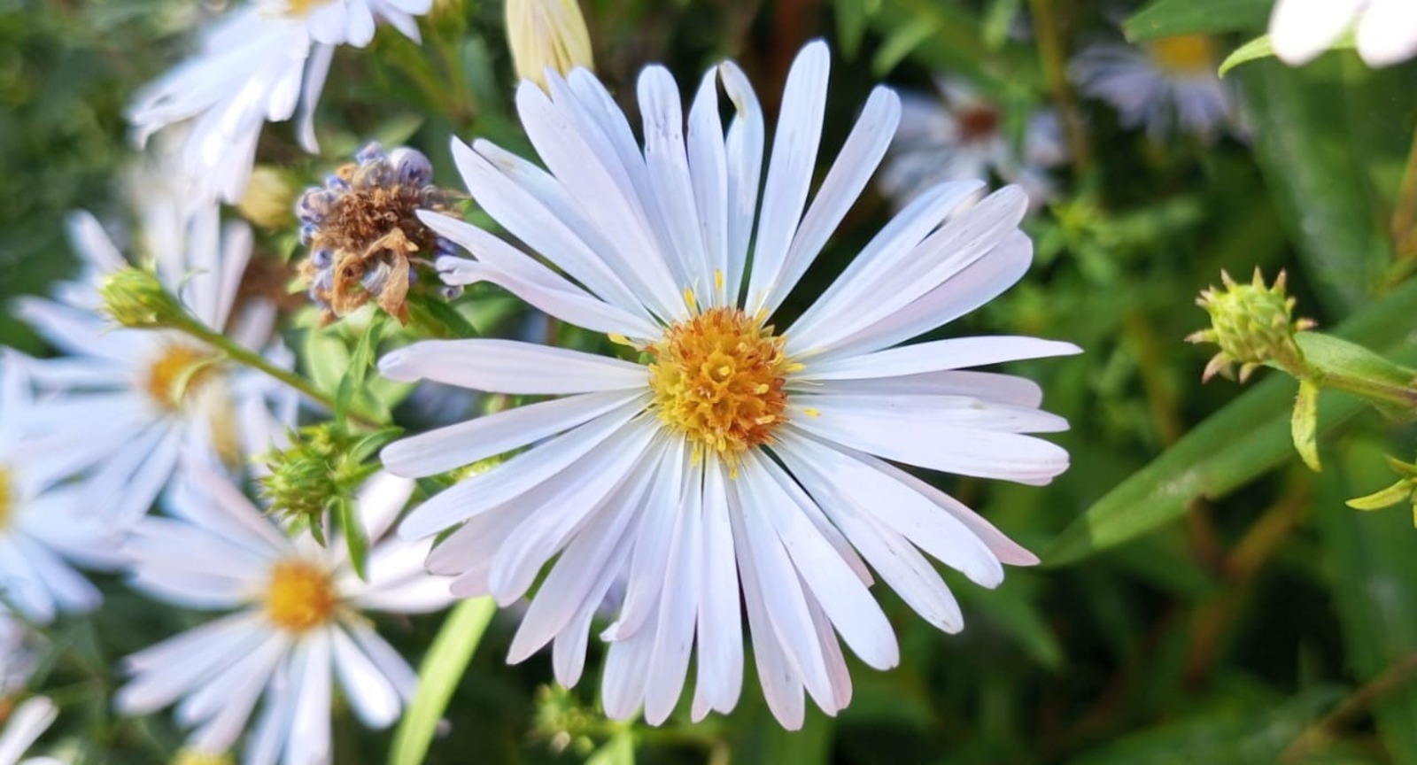 Евгении Сюткиной.