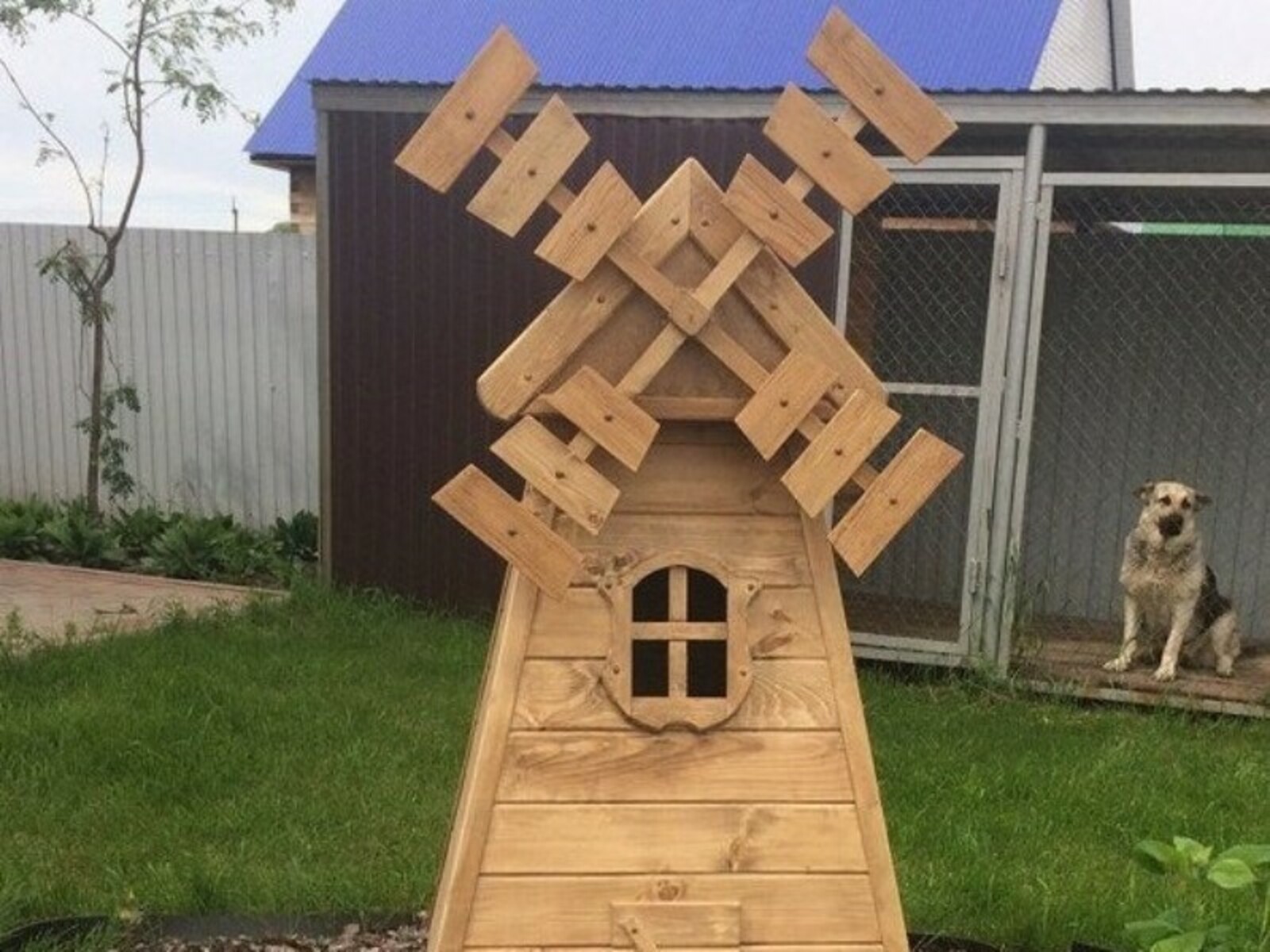 Фото предоставлено Дмитрием Гареевым.