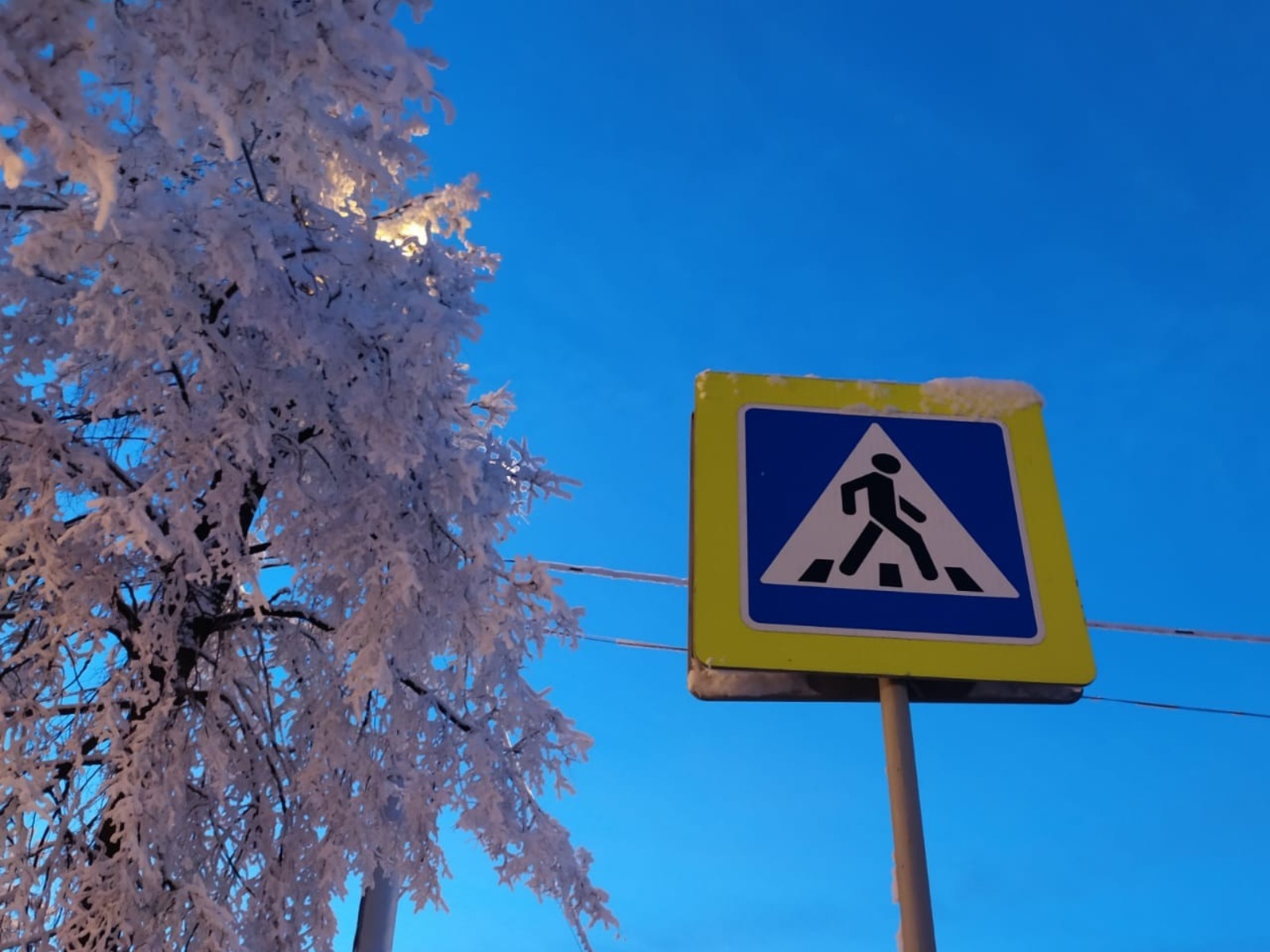 Васили Саитовой.