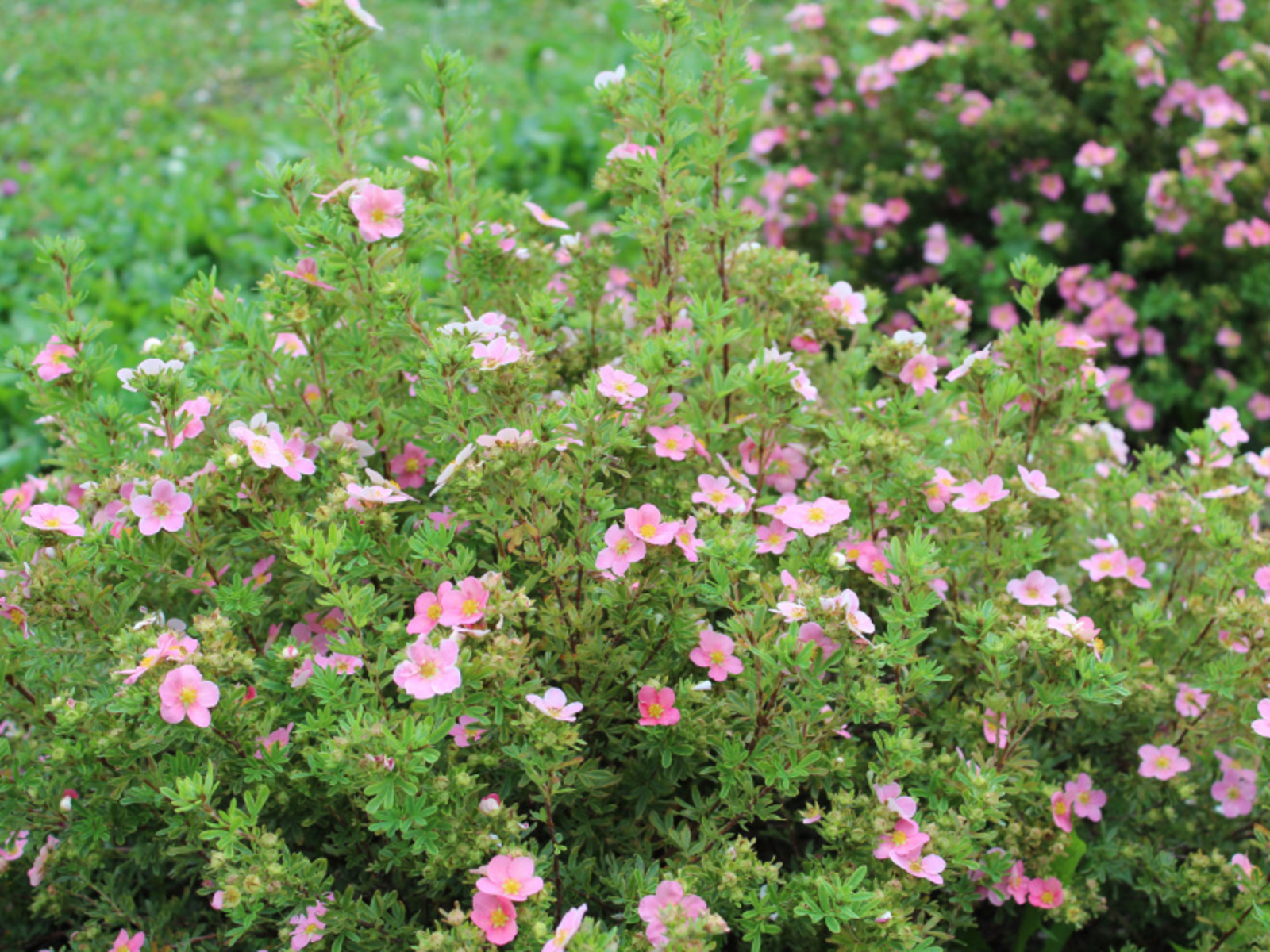 Фото Дарьи Святохиной.