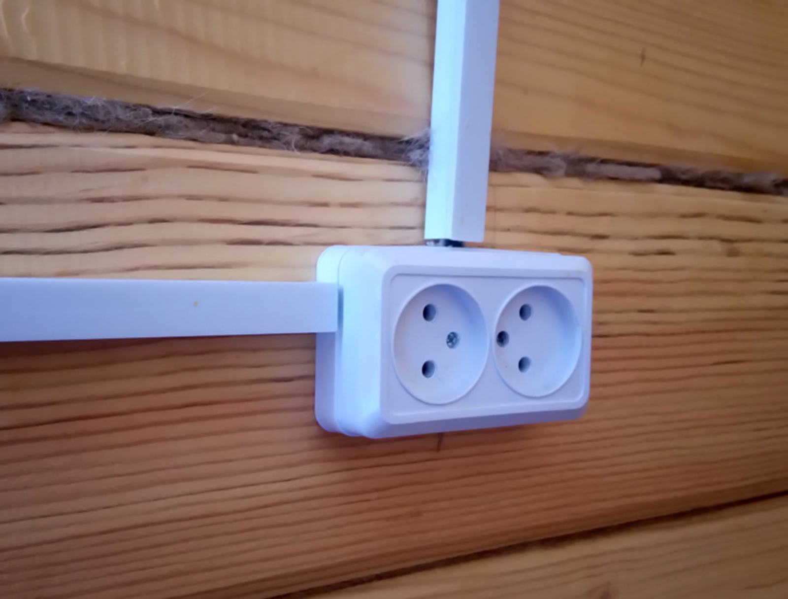 Фото Васили Саитовой.