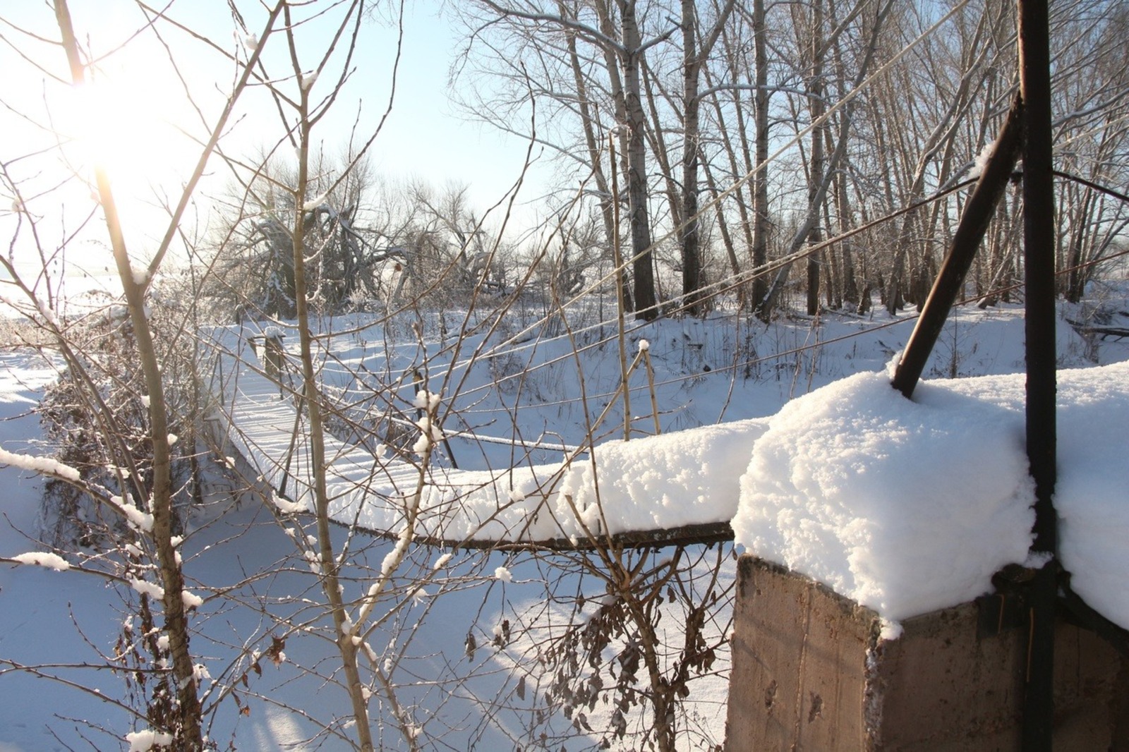 Евгении Сюткиной.