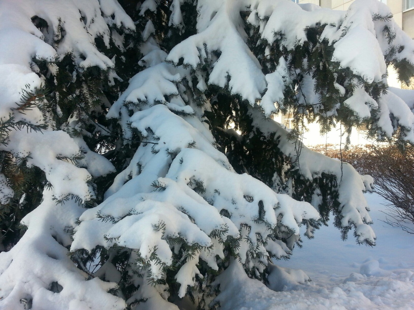 Дарьи Святохиной.