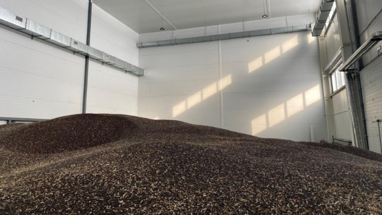 со страницы Радия Хабирова в соцсетях.