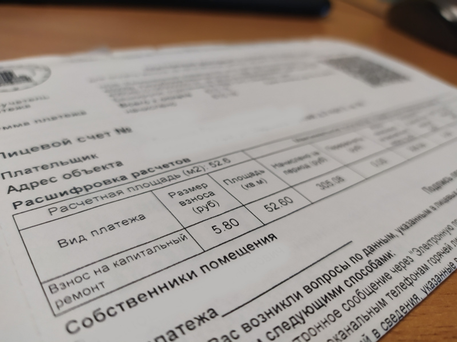 Фото Васили Саитовой.