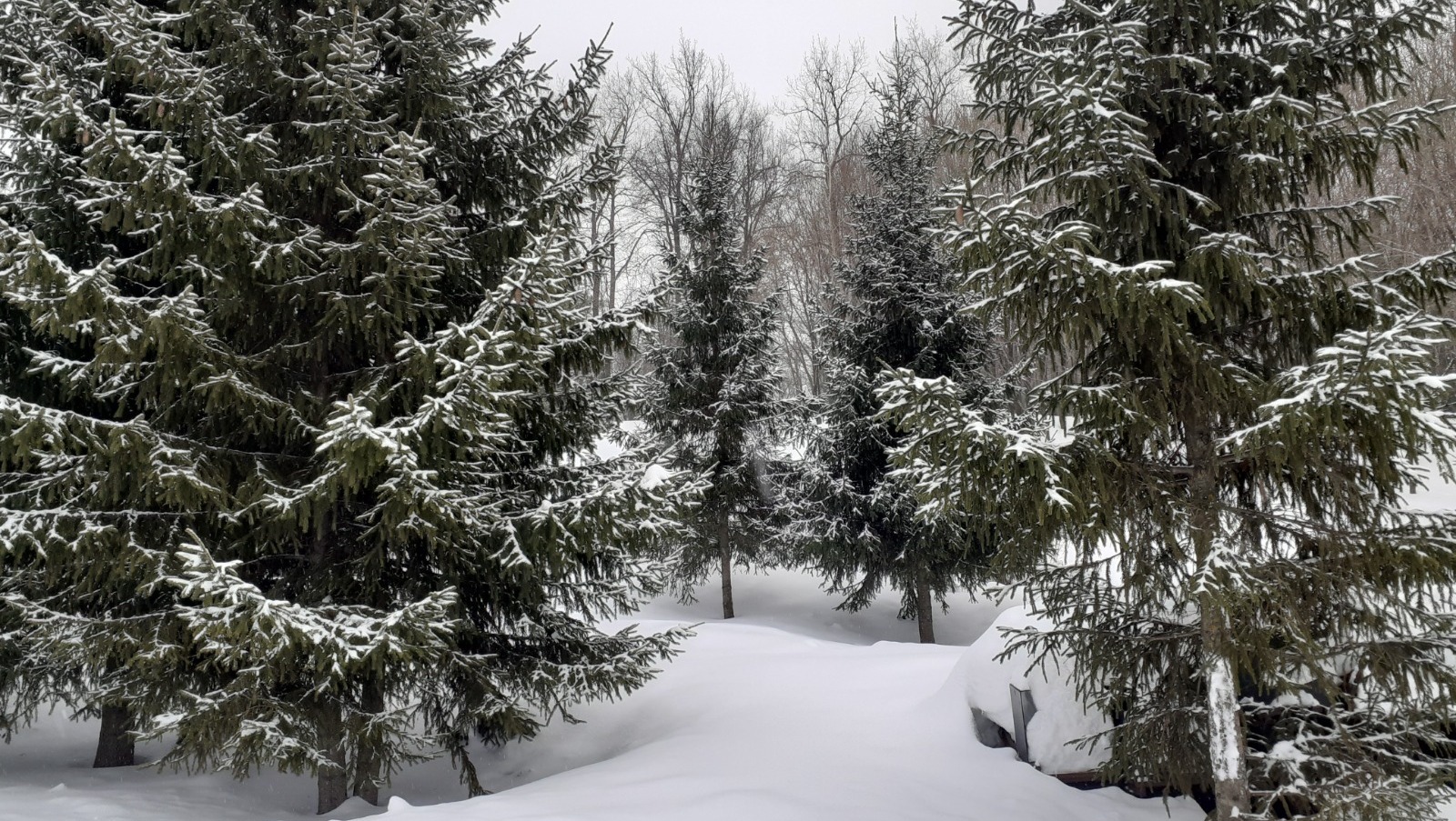 Владимира Шакиева. «Общественная электронная газета».