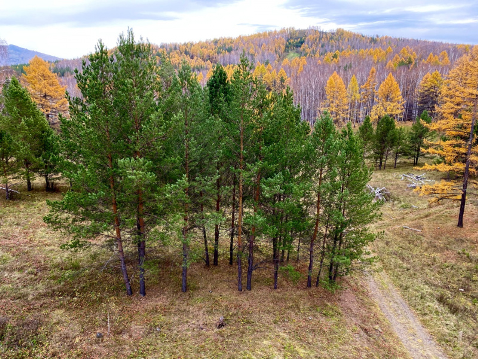 Фото автора.