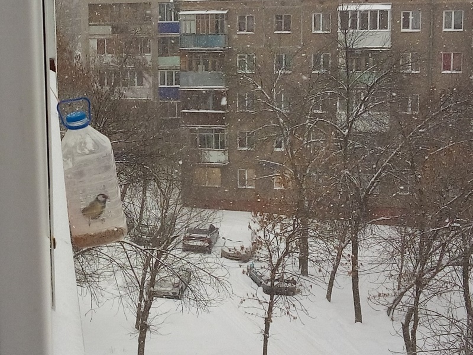 Фото автора.