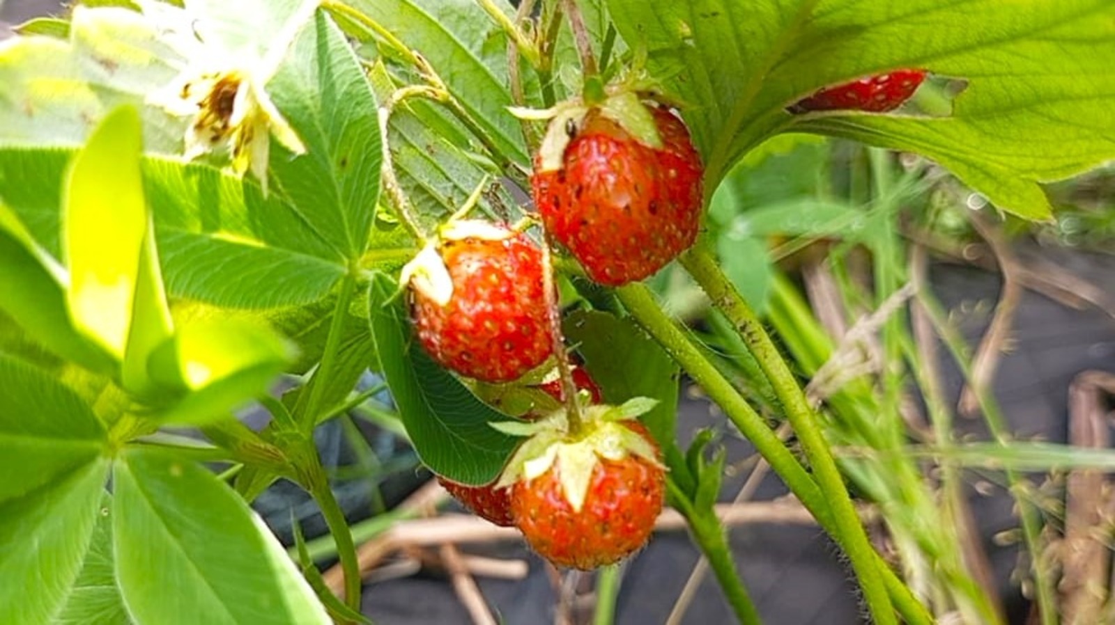 Евгении Сюткиной.