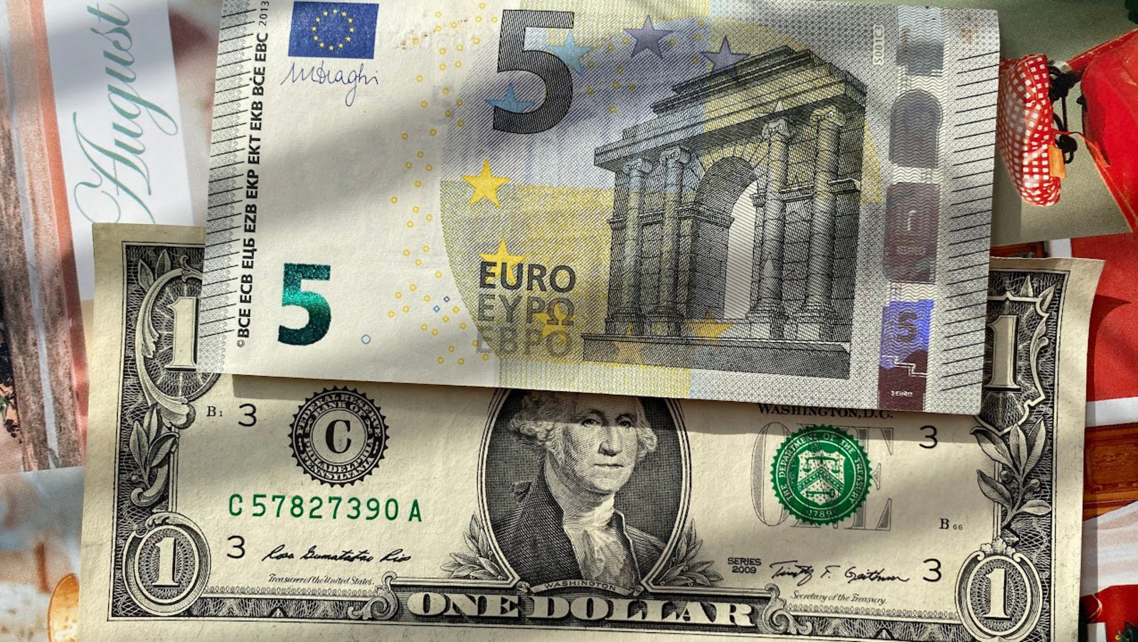 Елены Колоколовой.