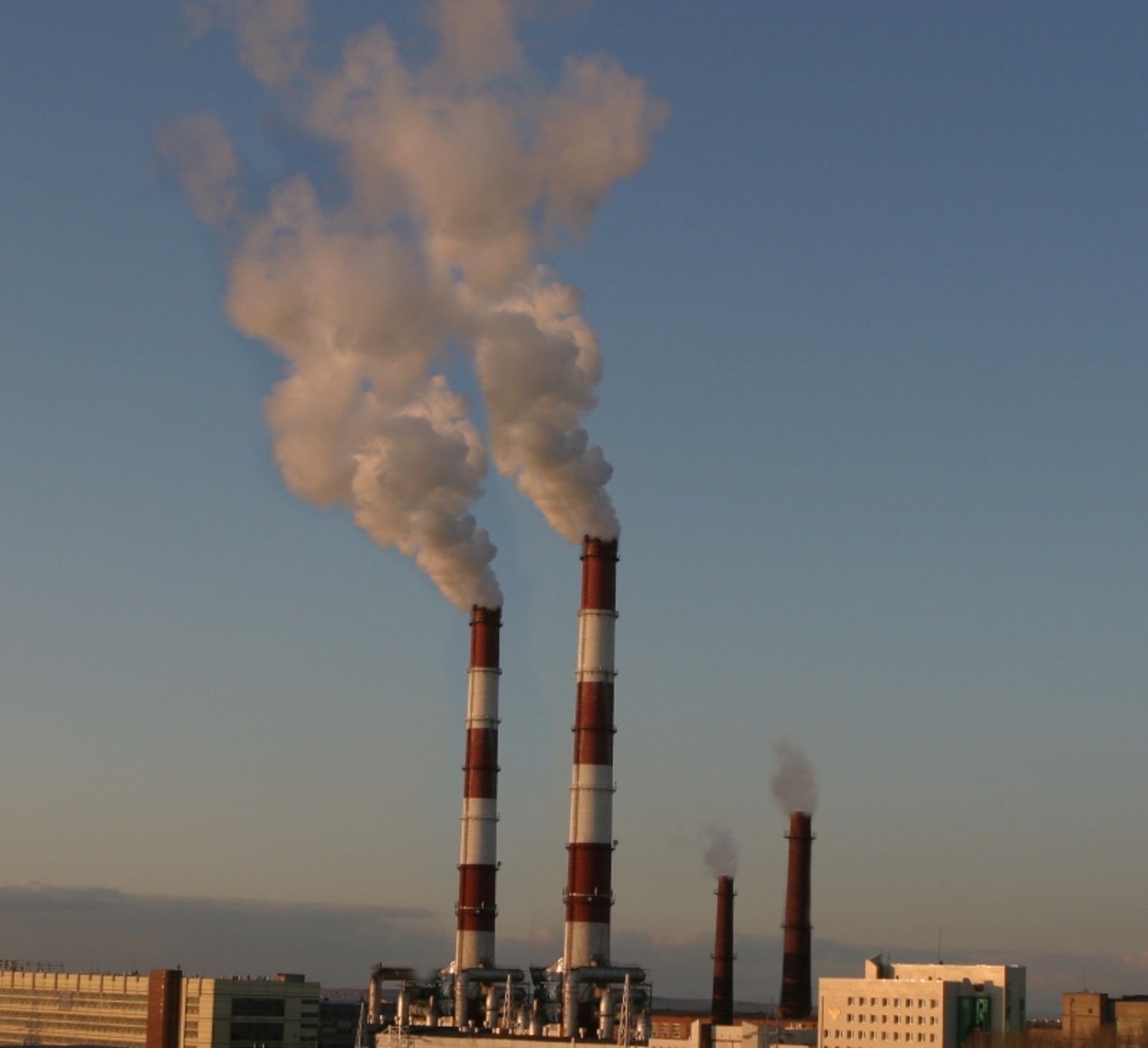 Фото Олега Яровикова.