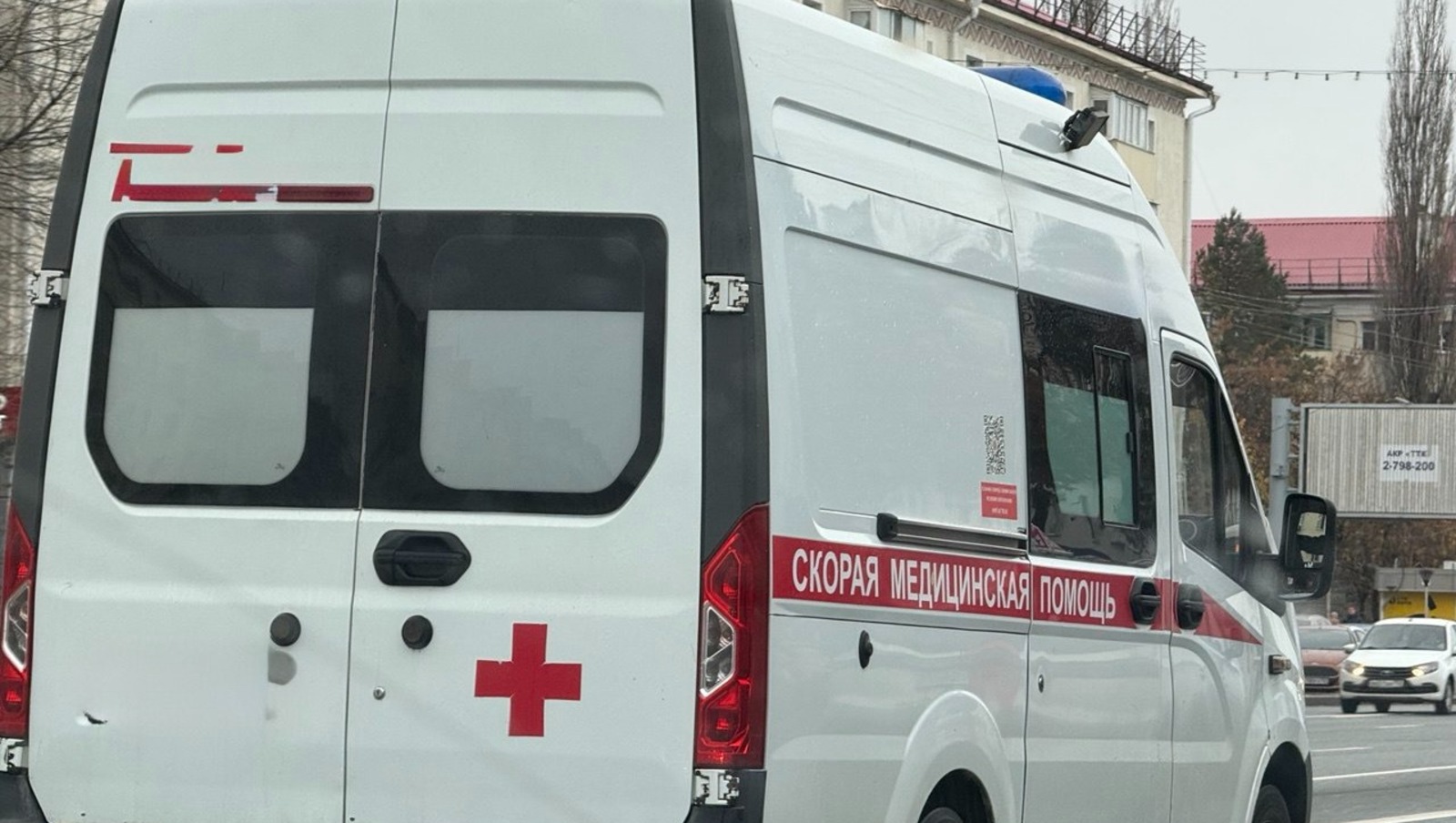 Елены Колоколовой.