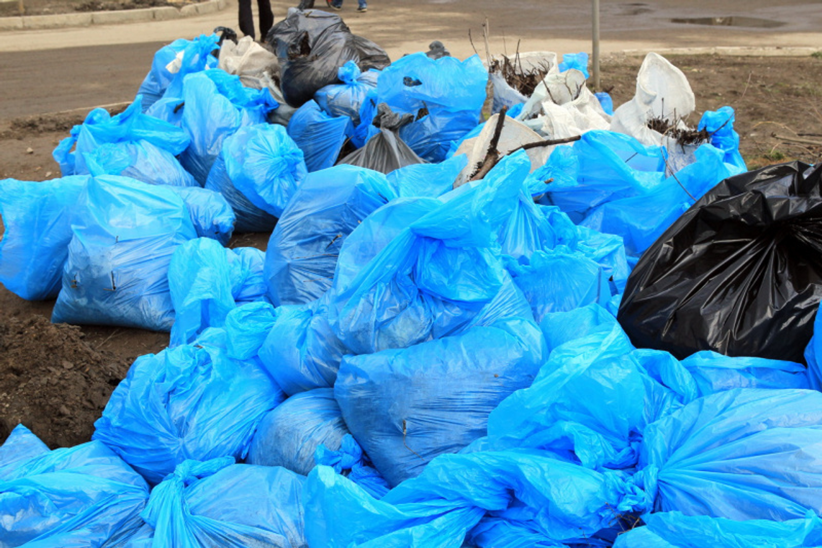 Фото Андрея Старостина.