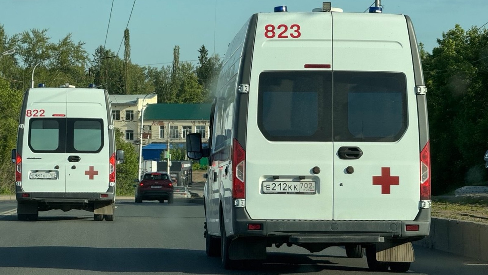 Елены Колоколовой.  «Общественная электронная газета».