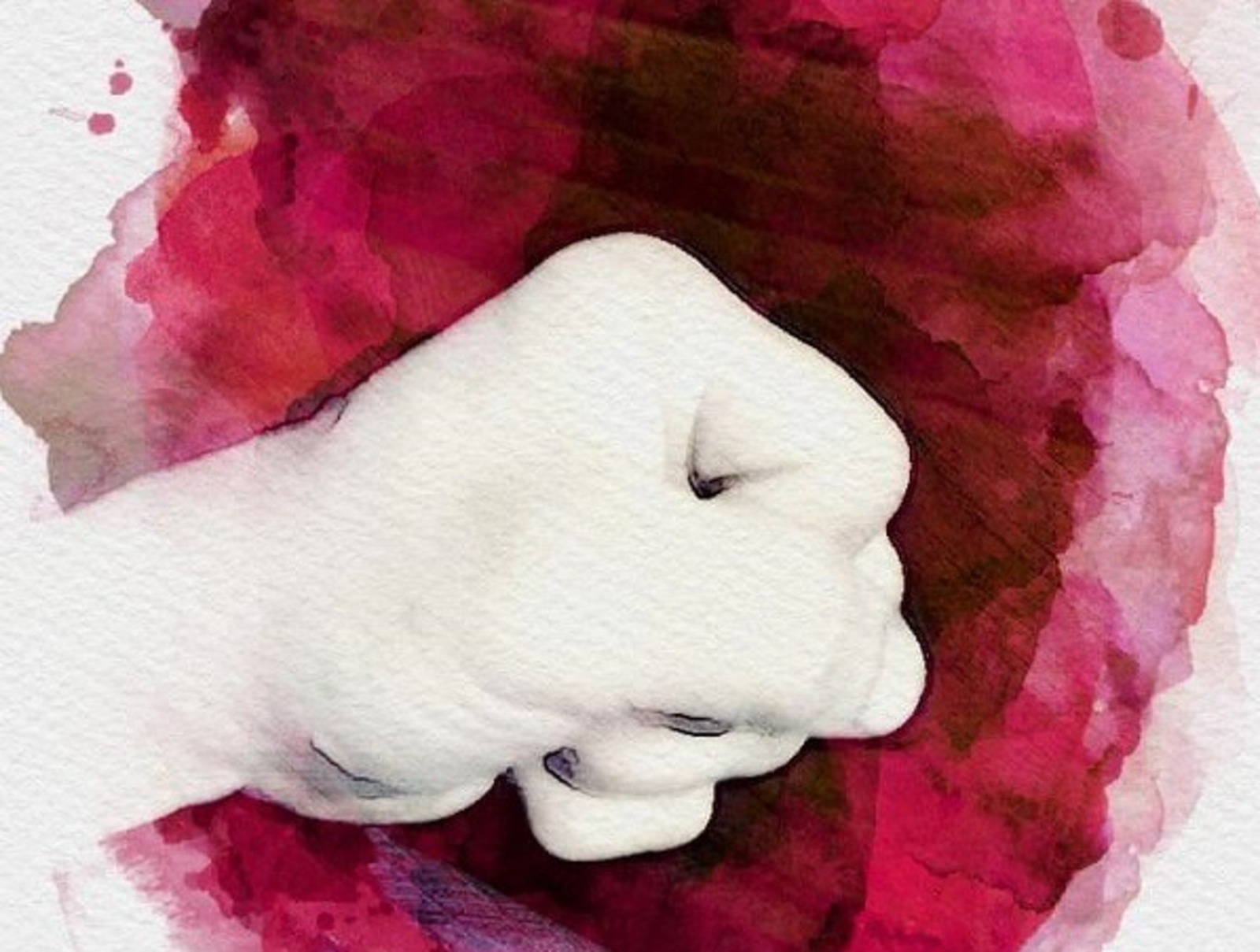 Раиля Латыпова.  Рисунок.