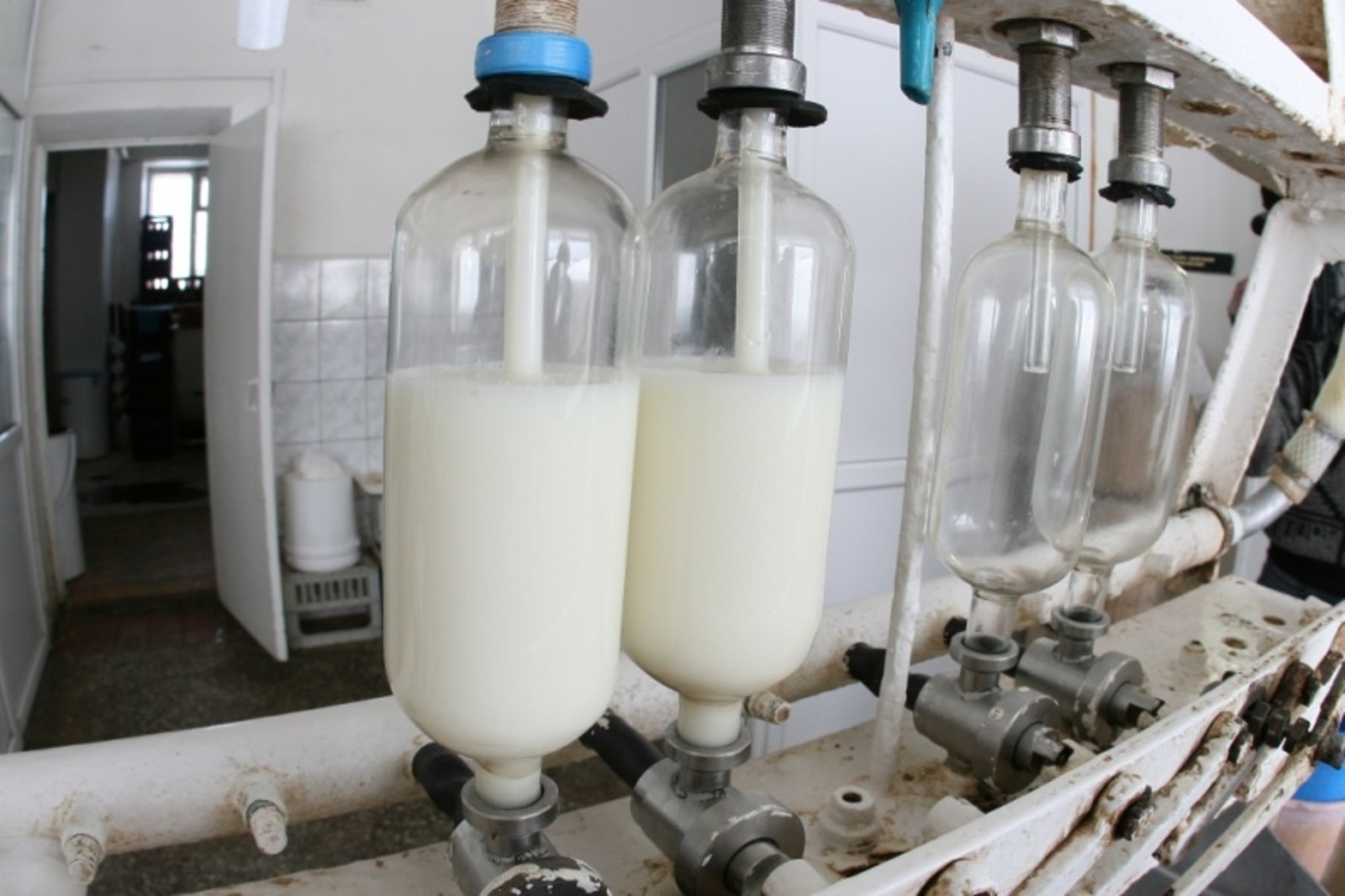 Фото автора.