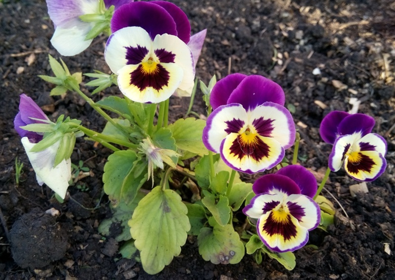 Фото Васили Саитовой.