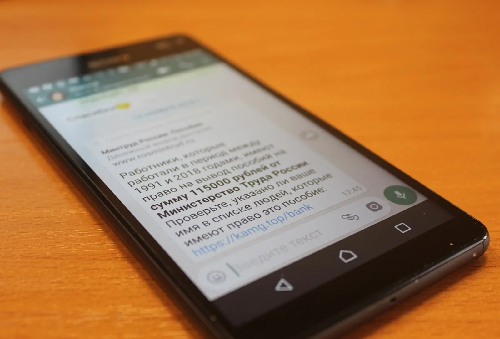 Фото Васили Саитовой.