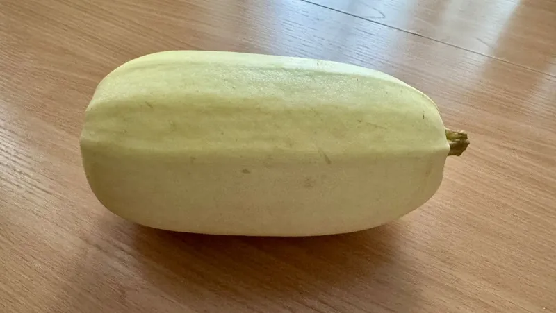 Елены Колоколовой.