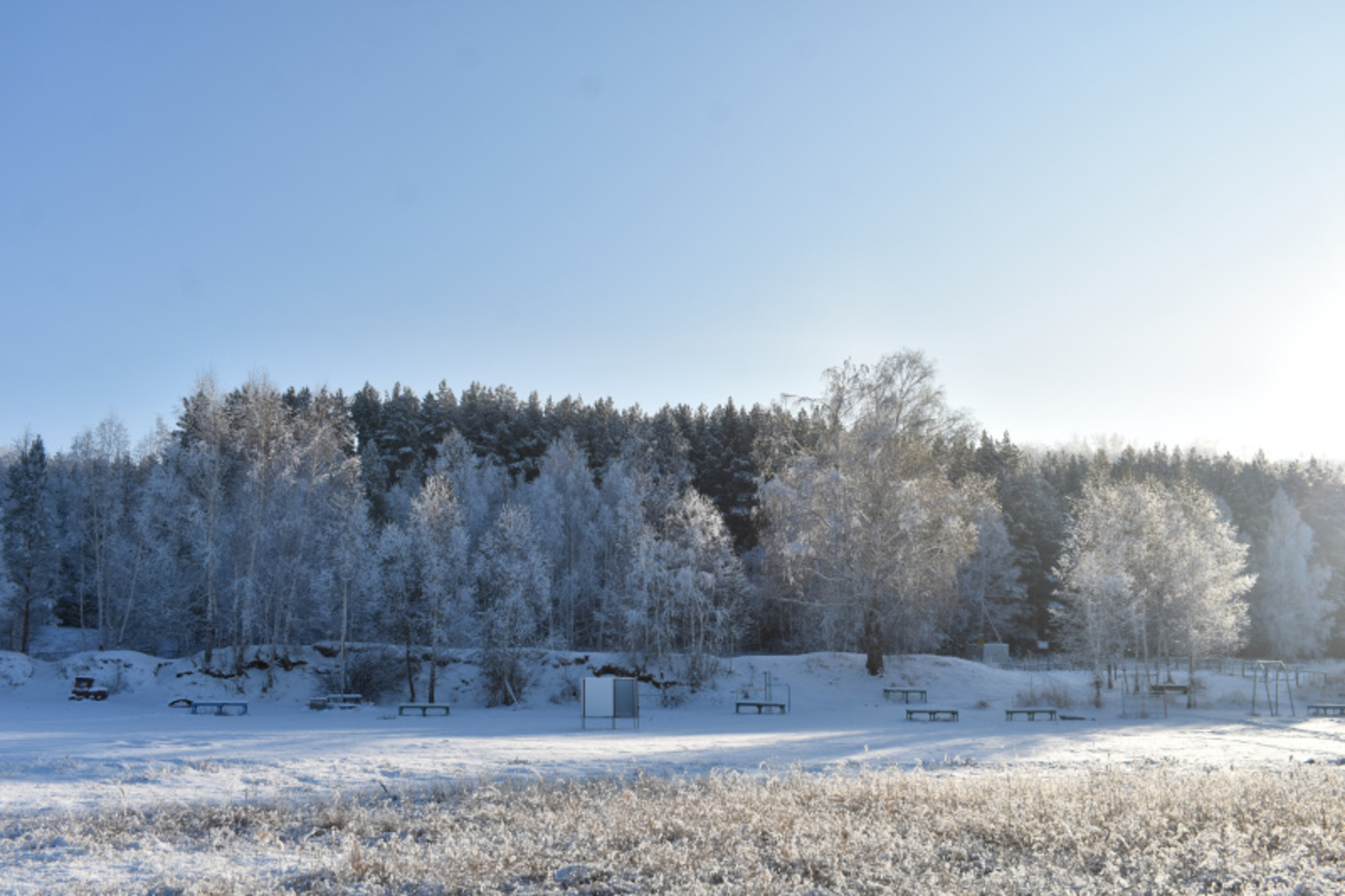 Фото автора.