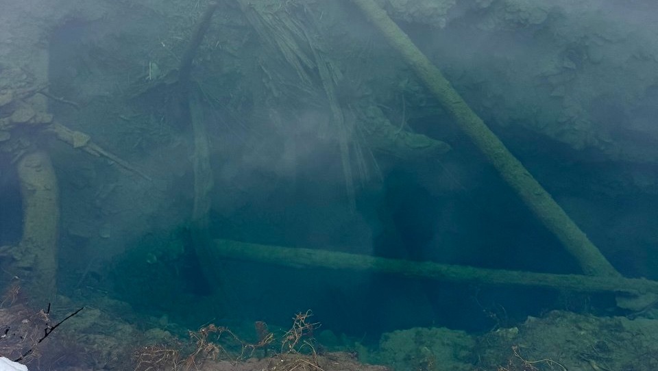 Елены Колоколовой. «Общественная электронная газета».