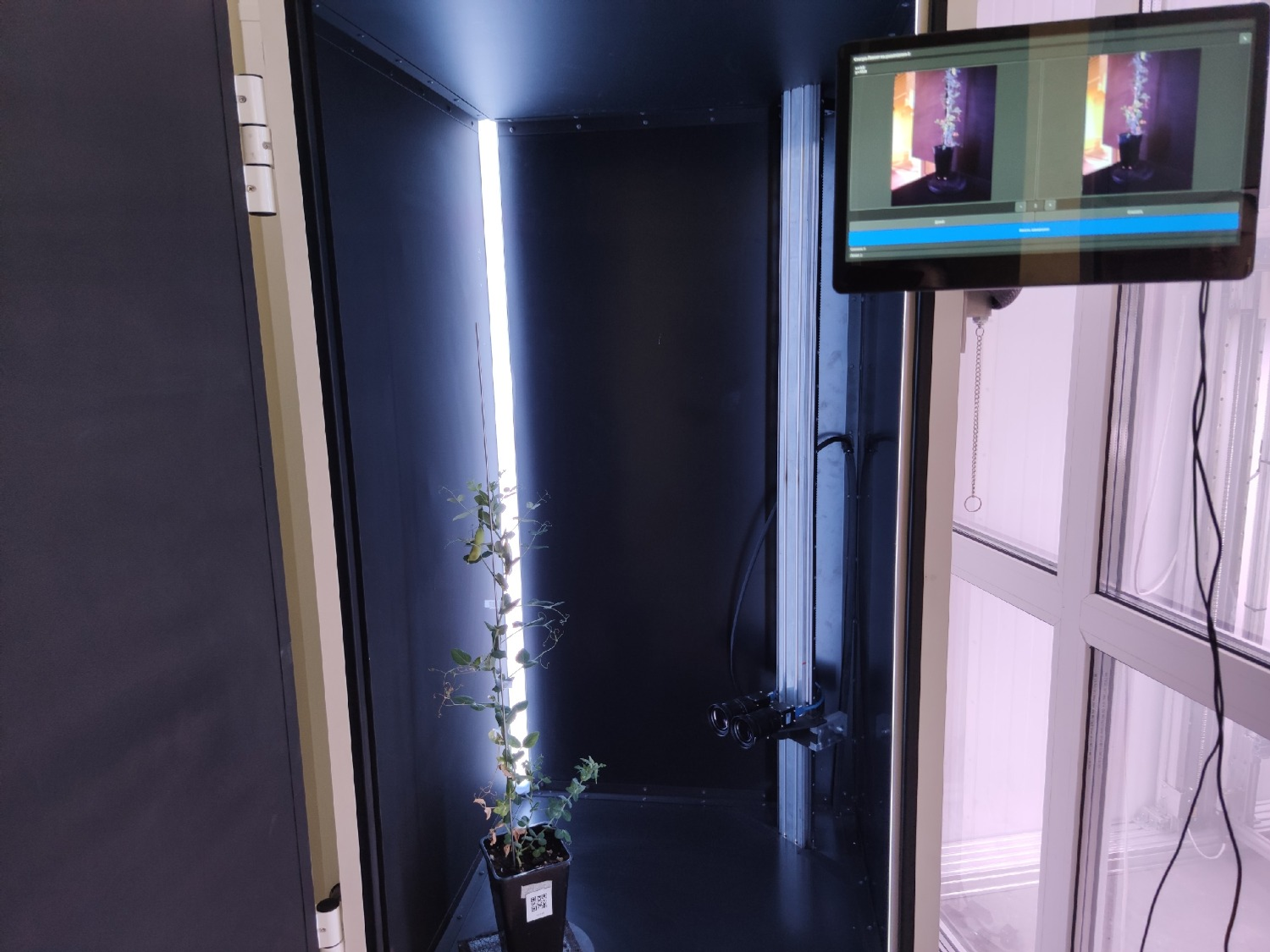 Дарьи Святохиной. «Общественная электронная газета».