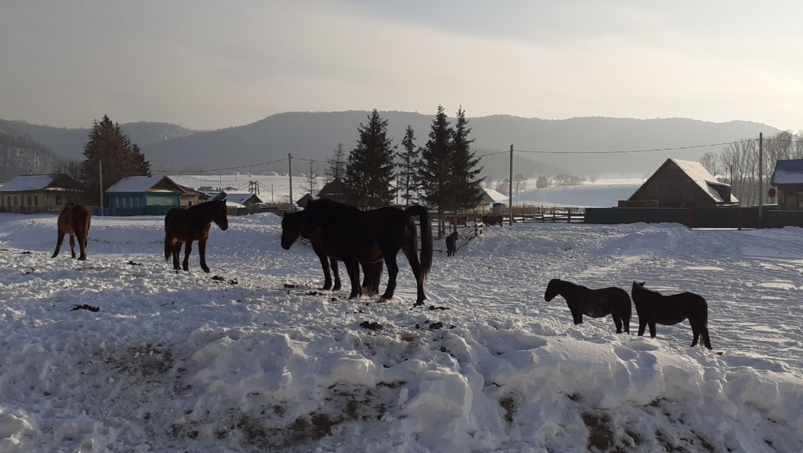 Владимира Шакиева. «Общественная электронная газета».