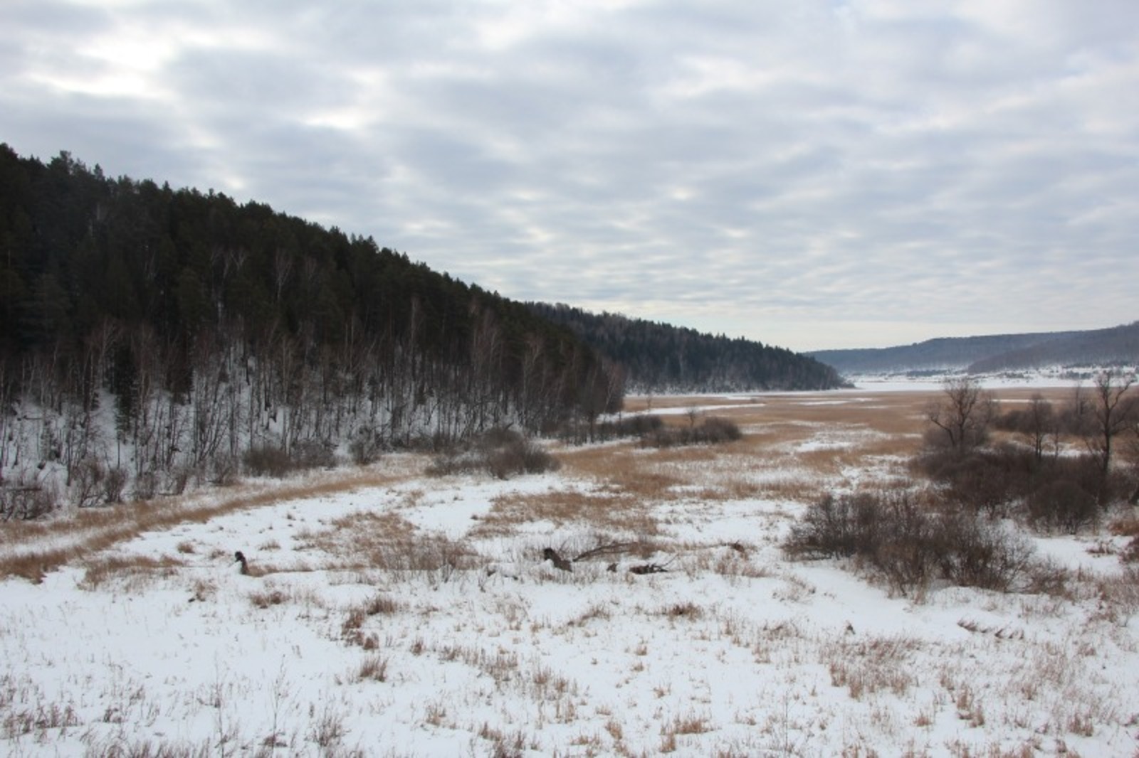 Евгении Сюткиной.