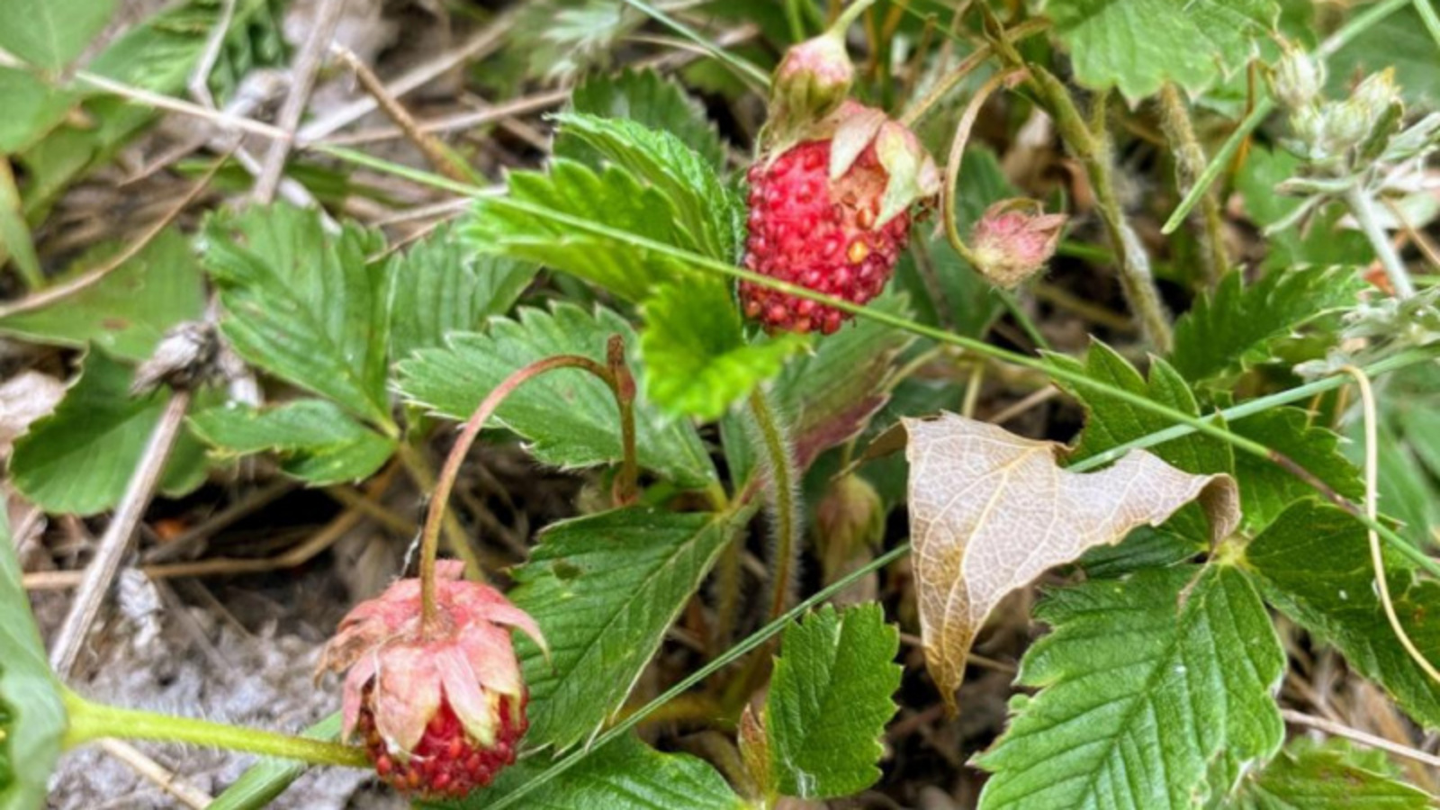 Фото Елены Колоколовой.