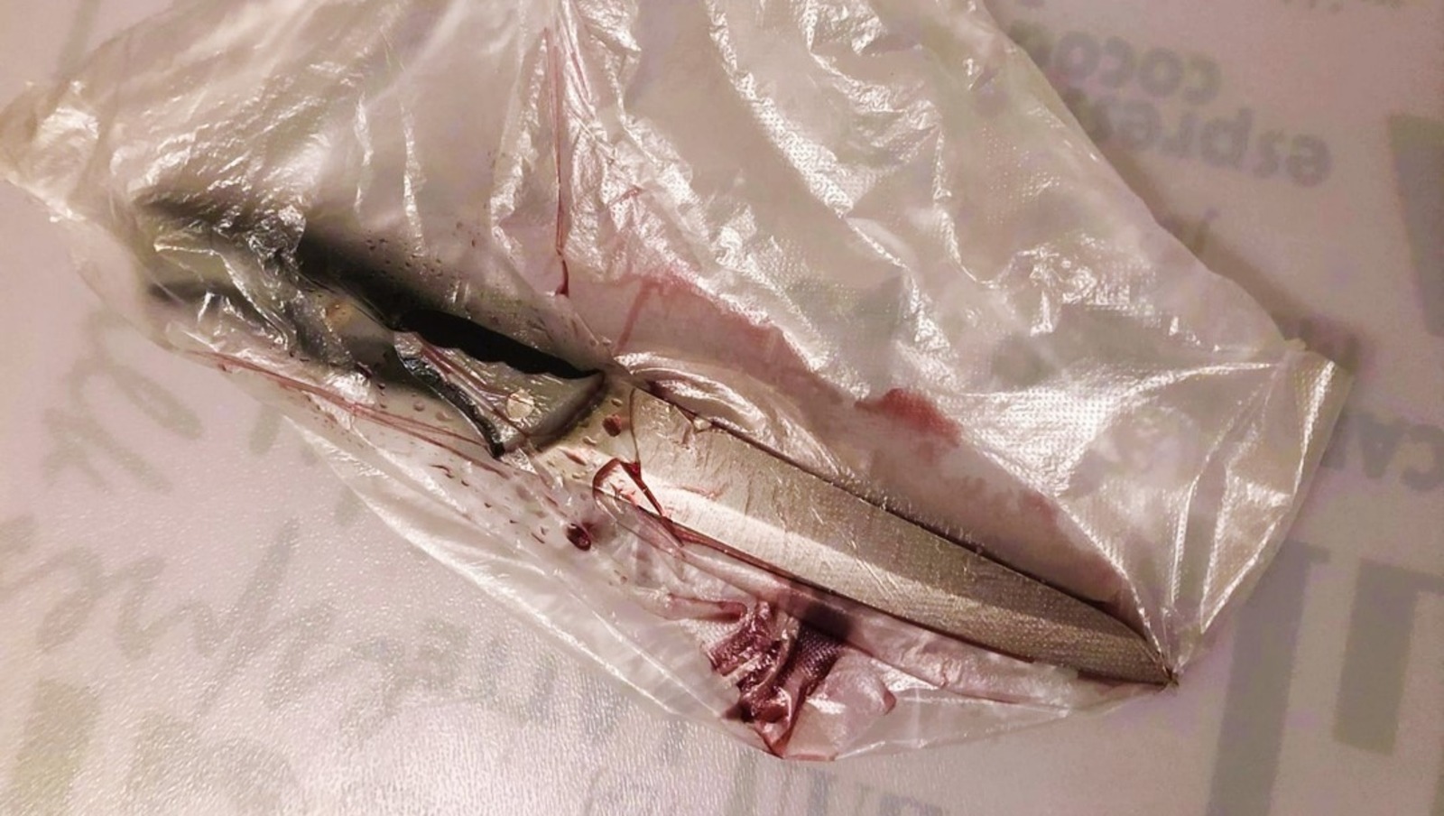 Елены Колоколовой. «Общественная электронная газета».