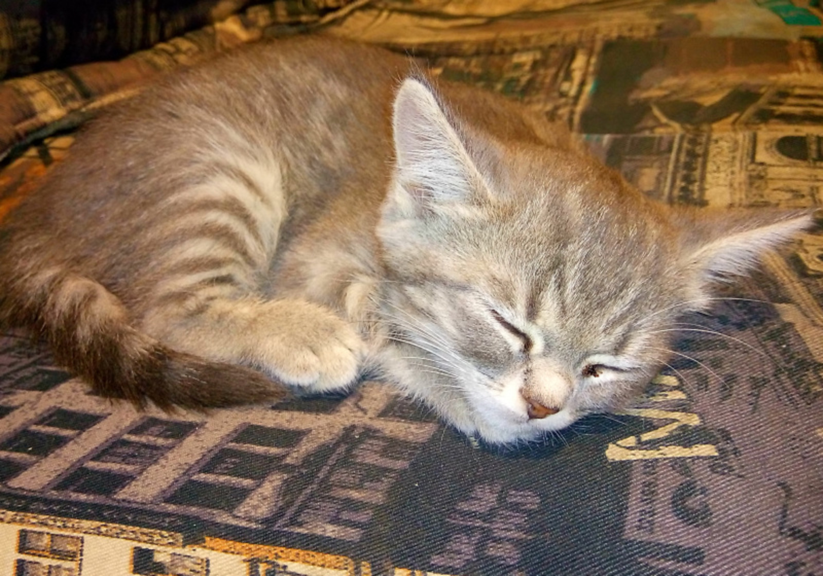 Фото автора.