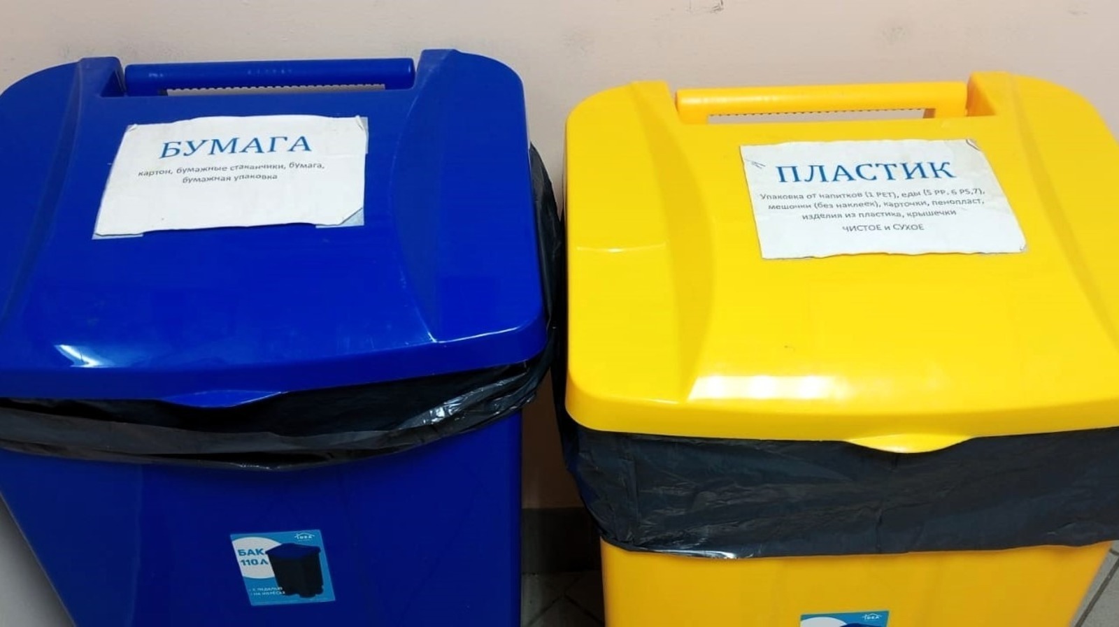 Евгении Сюткиной.