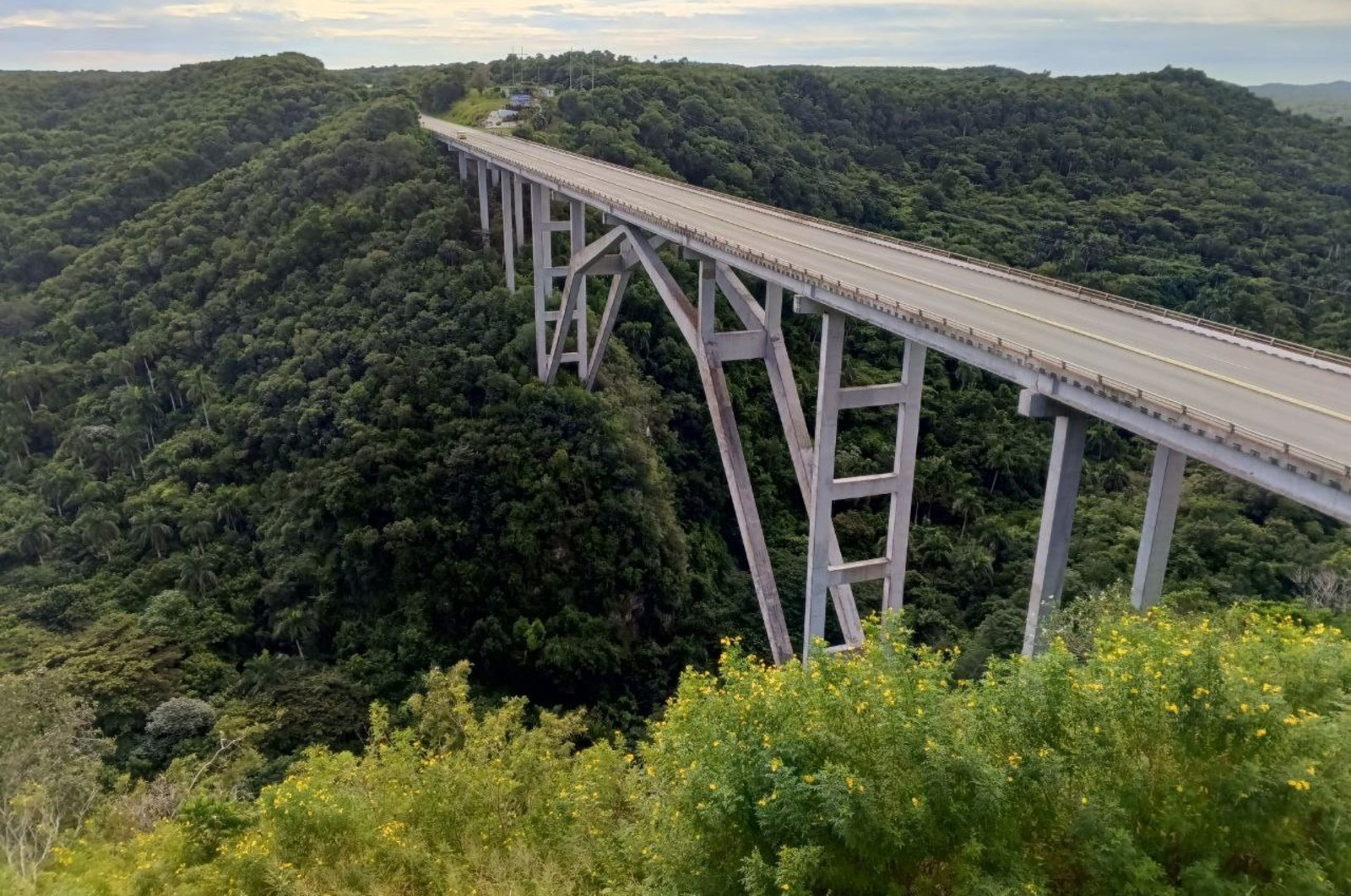 Евгении Сюткиной. «Общественная электронная газета».