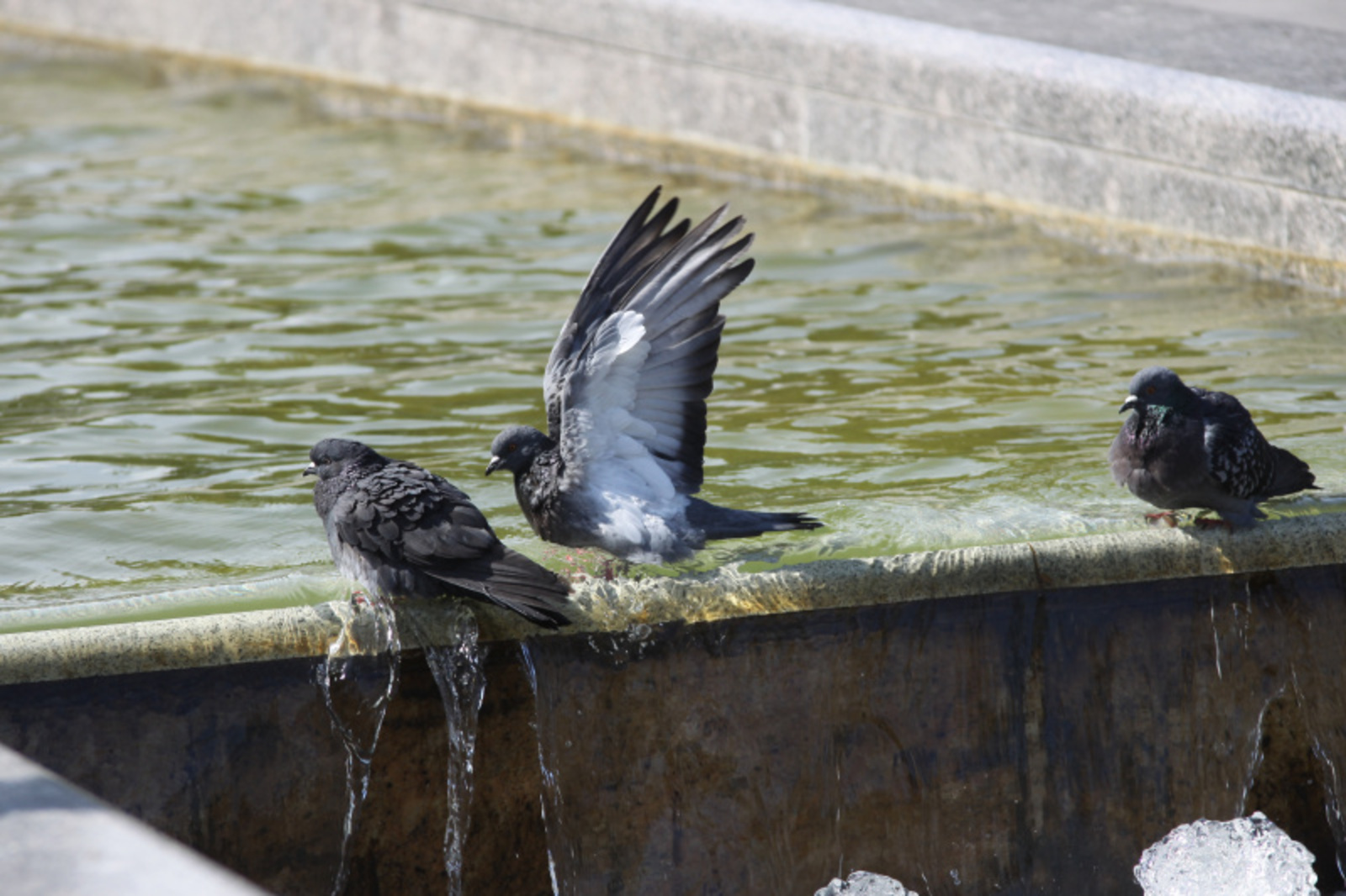 Фото Валерия Шахова.