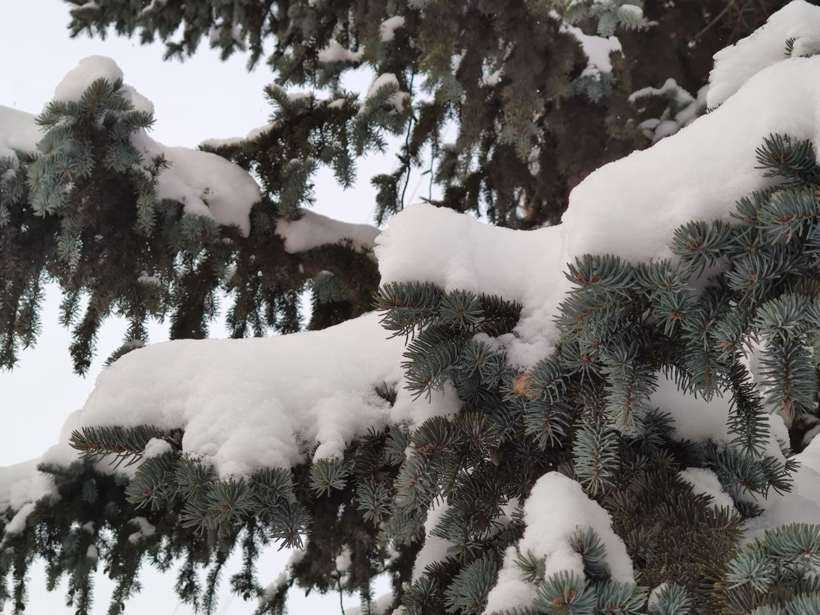 Дарьи Святохиной. «Общественная электронная газета».