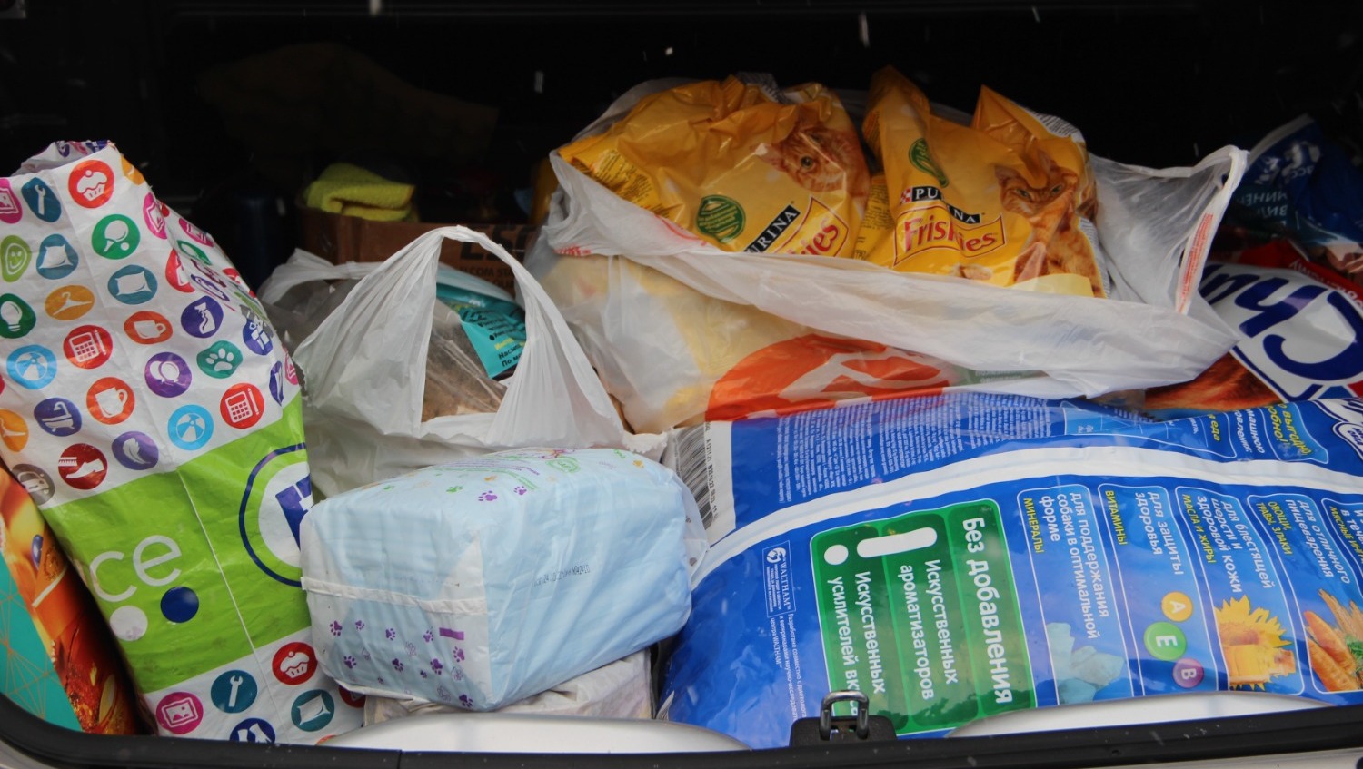 Елены Колоколовой.